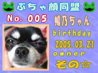 ぶちゃ顔同盟会員証