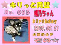 キリっと同盟会員証