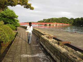 赤い橋わたろう♪