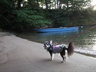 しまにとうちゃくだわん