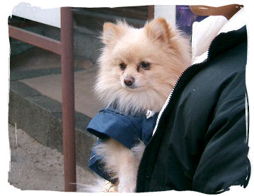 くたびれ～・・・