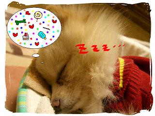 Zzz・・・・・・