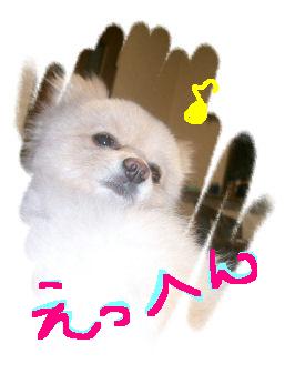 えらそーに・・・！？