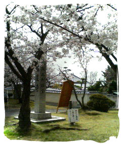 上寺山の花まつり