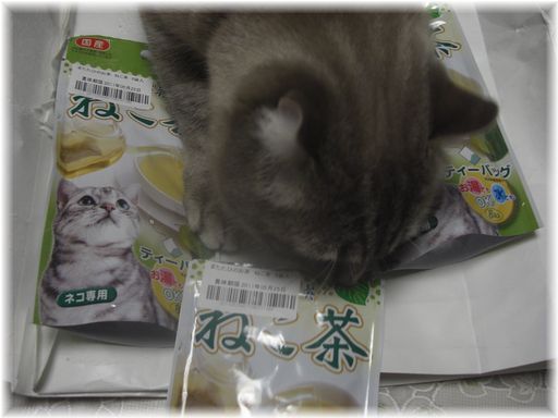 猫茶と茶々