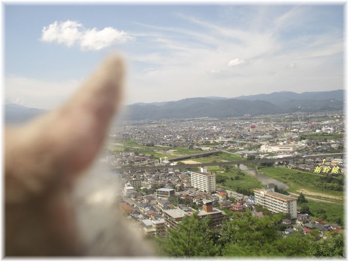 茶々と信夫山から市西北部を眺める