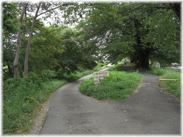 松川土手の散歩道