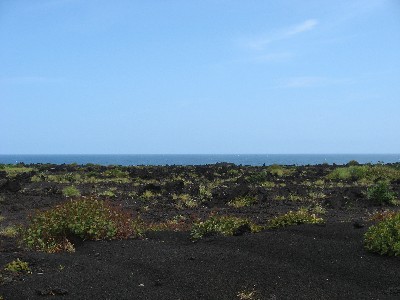 三宅島01