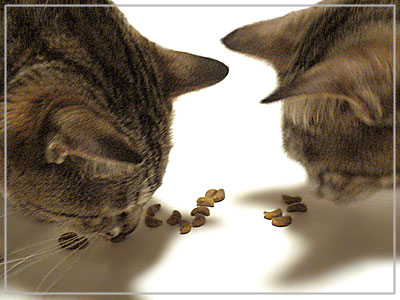 ひめりんドライ