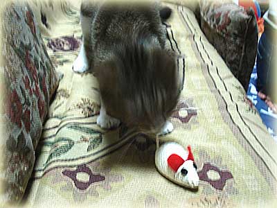 ねずみおもちゃ