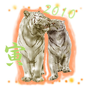 2010虎