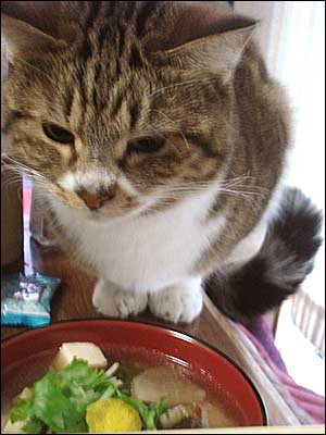 2010お雑煮ひめっち