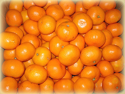 みかん１０ｋｇ