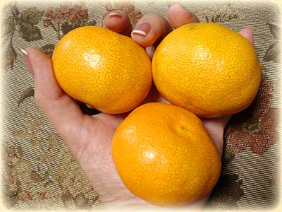 みかん１０ｋｇ分の３個