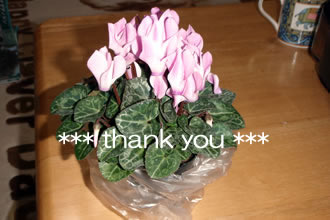 お花のプレゼント♪