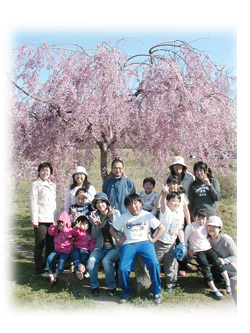 ポップイングリッシュのお花見