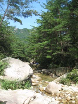 渓谷