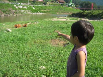 橋のたもとの。。