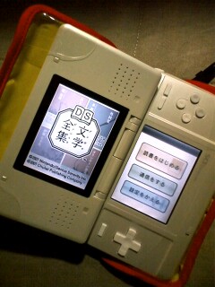 ds 文学１