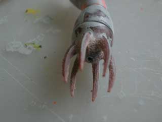  アッガイ（５）