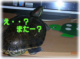 また？.jpg