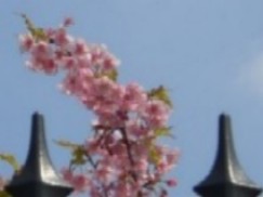 CIMG0876.JPG