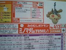 ミノマダム(すなちのミノ)