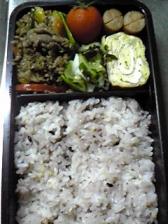 １２月１２日長男弁当