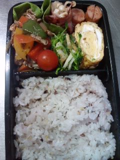 ２月２４日長男弁当