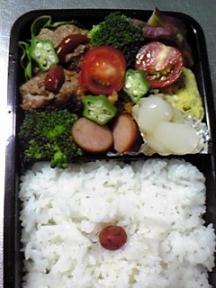 9月3日長男弁当
