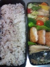 2010年1月12日次男弁当