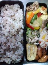 2010年1月14日次男弁当