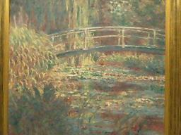 睡蓮:バラ色のハーモニー