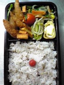 １１月１２日長男弁当