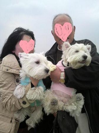 2010032814080000.jpg