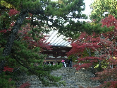 神護寺石段