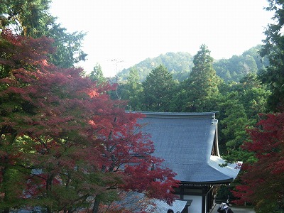 京都神護寺 040.jpg