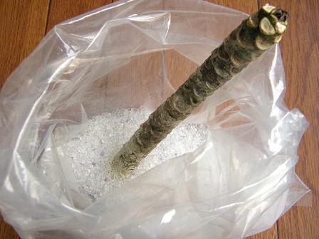 シリカゲルのプル