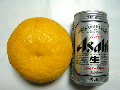 甘夏