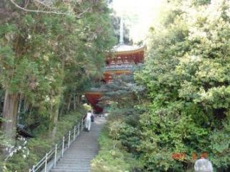 松尾寺　三重塔