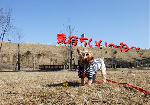 きもちいい～♪