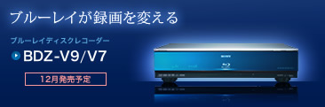 product_info01_2.jpg