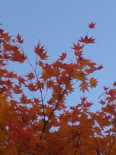 071023_1110~01.jpg