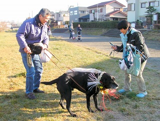 10.01.10.DogWalk077.jpg