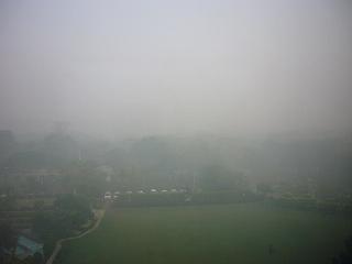 窓からの眺め（Diwali後）