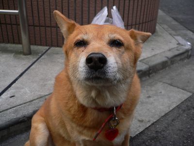 20071208_4.jpg