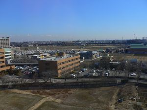 view