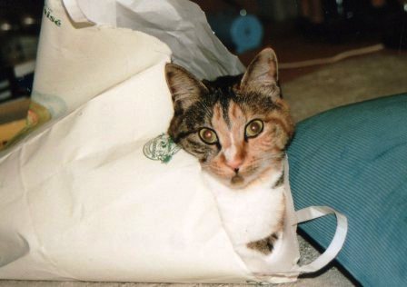 img012v.jpg