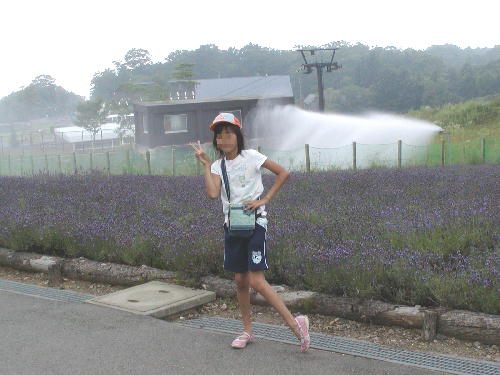 たんばらラベンダーパーク2008