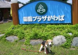 田園プラザかわば